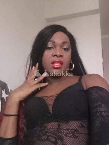 Diosa: Your Cuban Trans Goddess Awaits! 🌹🔥